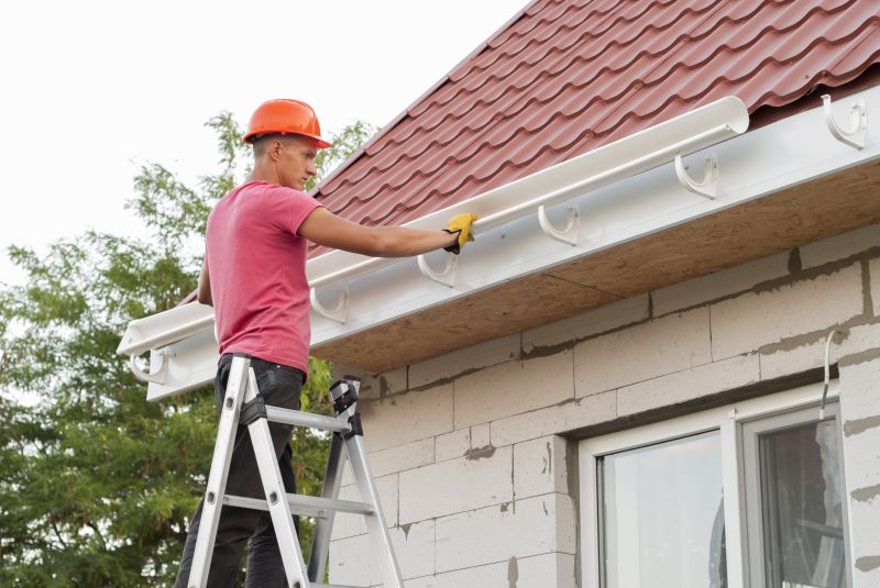 Gutter and Roof Edge Repair